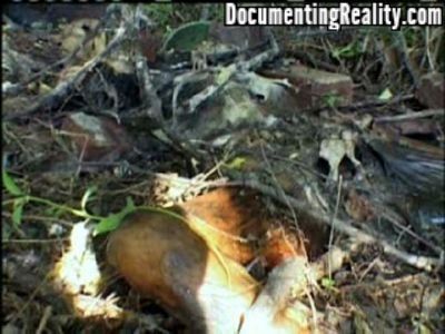Terry-Blair-Crime-Scene-Images-17.jpg