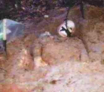 btk-killer-death-pics-004.jpg