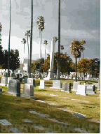0110285001246532787.gif