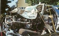 DianeSchulerCar4.jpg