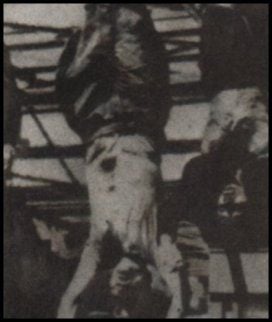 celebritydeathmussolini12.jpg