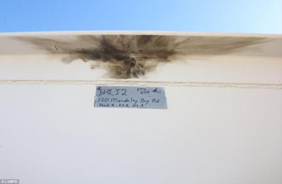 4853375200000578-5289987-Above_a_bullet_hole_that_truck_one_of_the_fuel_tanks_at_McCarren-a-162_.jpg