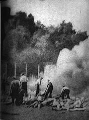 179px-Auschwitz_Resistance_281_cropped.jpg