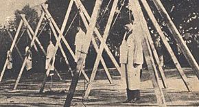 article.6275.jpg