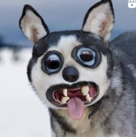 Name:  06.jpg
Views: 301
Size:  12.2 KB