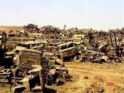 8571010.jpg