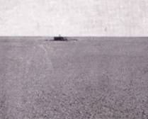 Papillon029.jpg