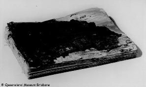Papillon037v.jpg