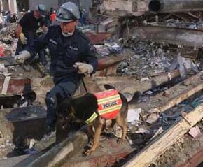Name:  zz02-wtc_rubble.jpg
Views: 1665
Size:  16.9 KB