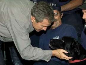 Name:  zz04-wtc_bushdog.jpg
Views: 1400
Size:  10.0 KB