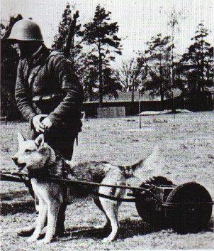 poland04.jpg