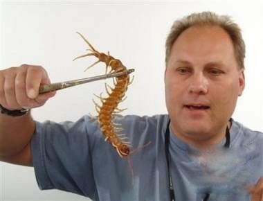 giant-centipede-5.jpg