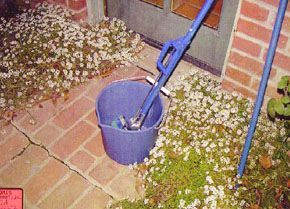 evidence-bucket-mop.jpg