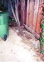 evidence-dried-cement.jpg