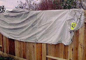 evidence-tarp-fence-18.jpg