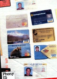 evidence-phony-id-cards1.jpg