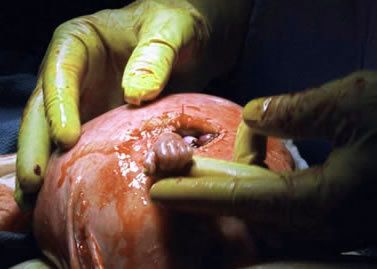 the-baby-hand2.jpg