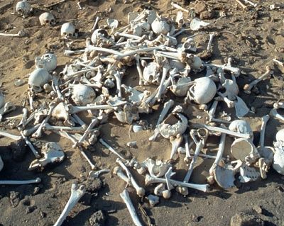 bones.jpg