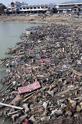 tsunami-dead-bodies.jpg