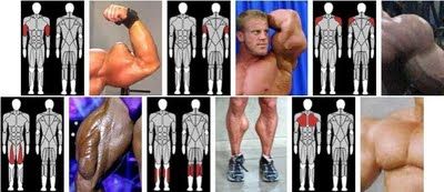 victims_of_synthol_25.jpg