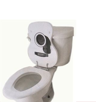guitar-tooilet-seats.jpg
