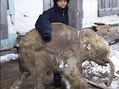 Baby Mammoth.jpg