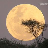 Name:  moonillusion_200.jpg
Views: 1962
Size:  9.1 KB