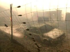sandstorm_244x183.jpg