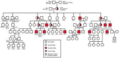 royal_hemophilia.jpg