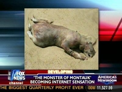 medium_montauk_monster.flv.jpg