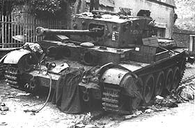 witt10.jpg