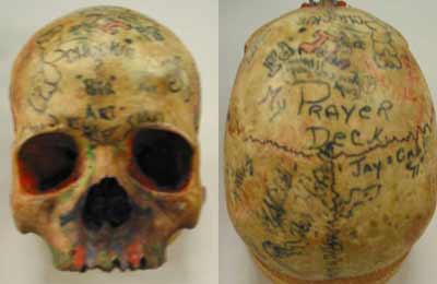 trophy-skull.jpg
