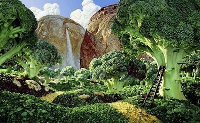 brocolli-forest-1_1671581i.jpg