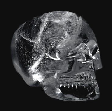 sar_6_1_crskull.jpg