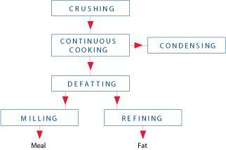 Continuous-dry-rendering.jpg