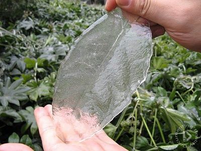 image001.jpg