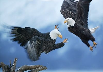 article-2017184-0d19252d00000578-430_964x674.jpg
