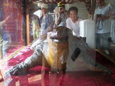 hoan-kium-turle.jpg