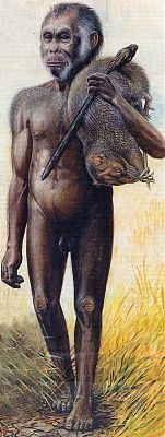 homo-floresiensis.jpg