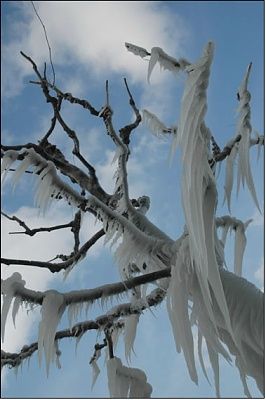 ice_pic02.jpg