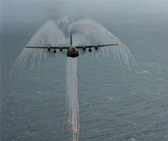 angel_wings.gif