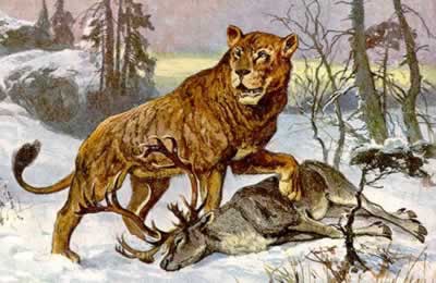 Name:  a98_cavelion.jpg
Views: 67
Size:  21.0 KB