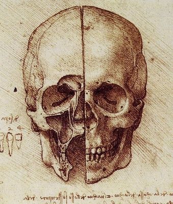 skull2.jpg