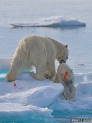_57195049_5d009bdb-8621-489b-979d-300b2b998f04.jpg