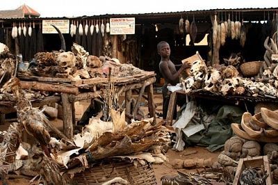 akodessewa-fetish-market7-550x366.jpg