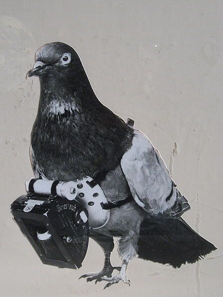 449px-Dr_Julius_Neubronner_patented_a_miniature_pigeon_camera_activated_by_a_timing_mechanism,_1.jpg