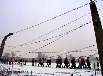 0-1468880_4-00.jpg