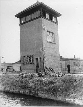 Bodies of dead German soldiers at Tower B.jpg