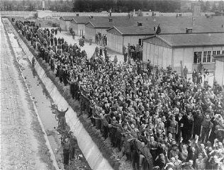 Crowd of cheering survivors.jpg
