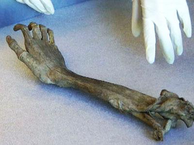 Name:  29906170001_1557343788001_0411dv-civil-war-arm-400x300.jpg
Views: 3703
Size:  20.0 KB